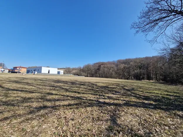 Prodej komerčního pozemku, Velká Polom, Okružní, 6038 m2