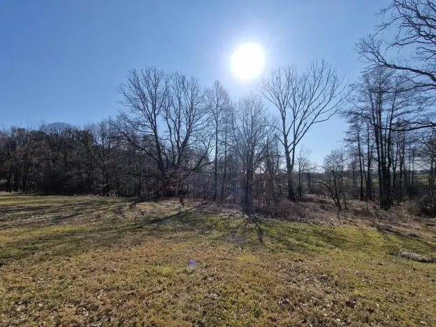 Prodej komerčního pozemku, Velká Polom, Okružní, 6038 m2