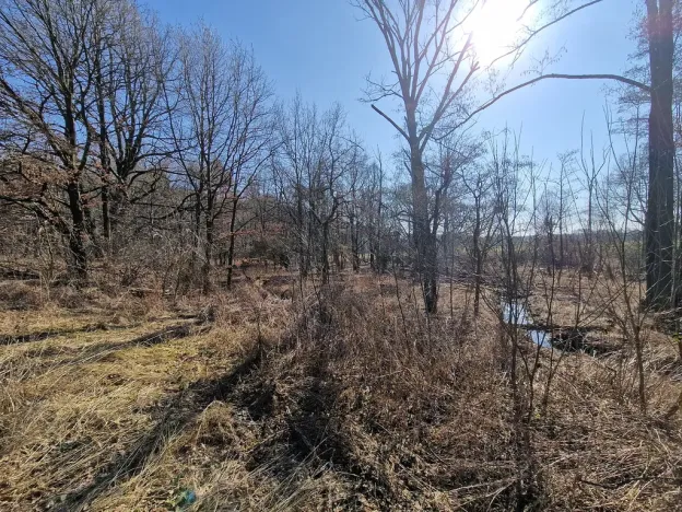 Prodej pozemku, Velká Polom, Okružní, 6038 m2