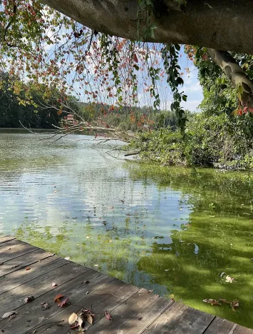 Prodej rodinného domu, Hrusice, K Penzionu, 360 m2