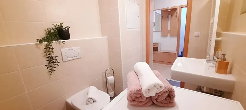 Pronájem bytu 1+kk, Brno, Šemberova, 51 m2