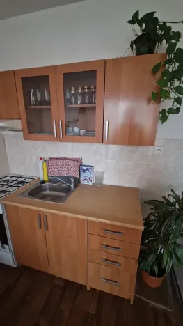 Pronájem bytu 1+1, Krupka, Teplická, 36 m2