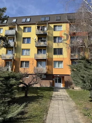 Pronájem bytu 1+1, Hustopeče, Svat. Čecha, 32 m2