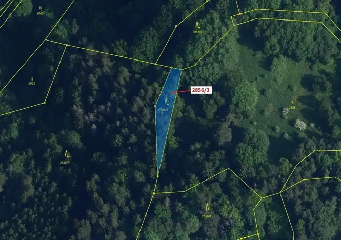 Dražba lesa, Český Dub, 448 m2