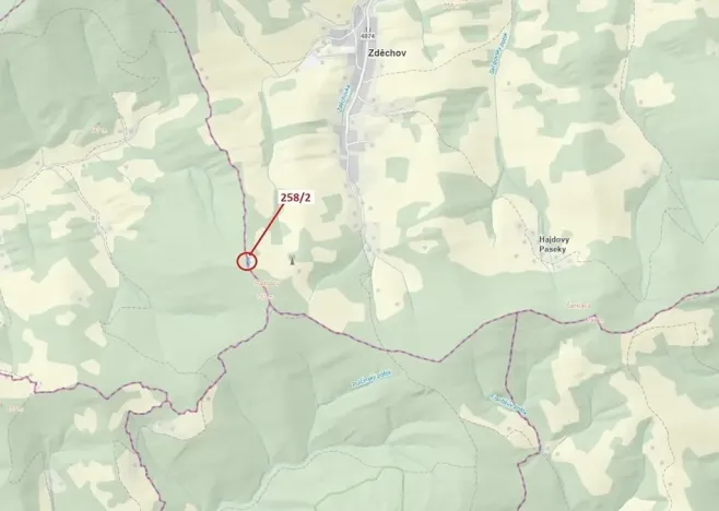 Dražba lesa, Zděchov, 697 m2