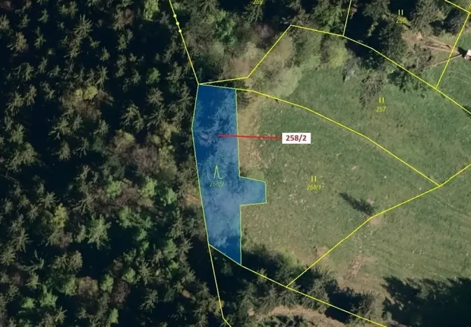 Dražba lesa, Zděchov, 697 m2