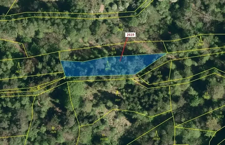 Dražba lesa, Zděchov, 867 m2