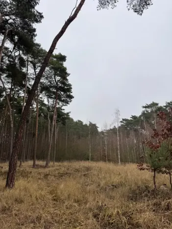 Prodej lesa, Libotenice, 17863 m2