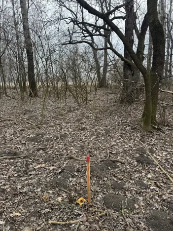 Prodej lesa, Veselí nad Moravou, 2272 m2