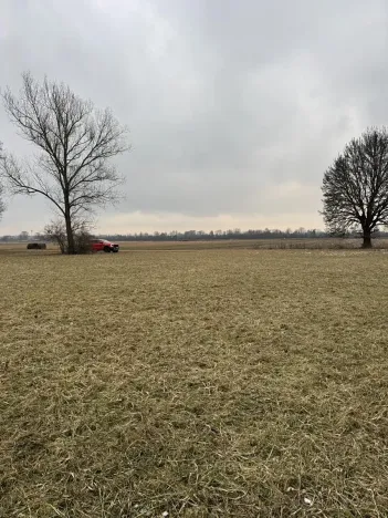 Prodej lesa, Veselí nad Moravou, 2272 m2