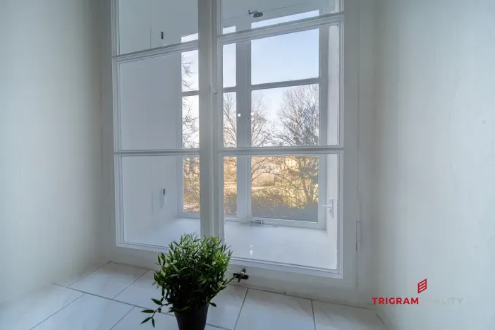 Pronájem bytu 1+kk, Hradec Králové, Dlouhá, 25 m2