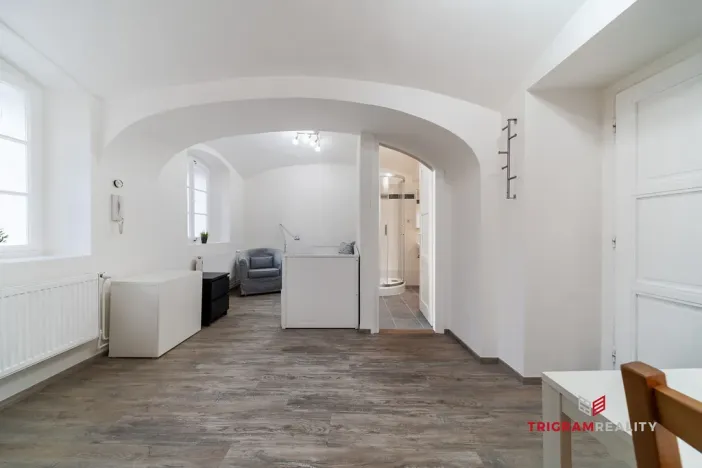 Pronájem bytu 1+kk, Hradec Králové, Dlouhá, 25 m2