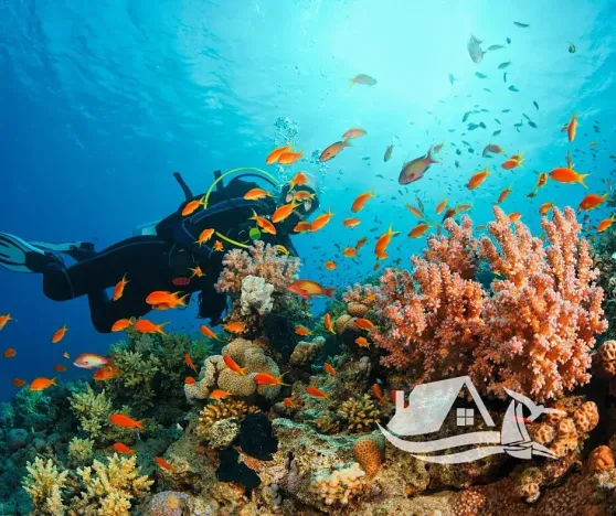 Prodej bytu 2+kk, Pattaya, Thajsko, 52 m2