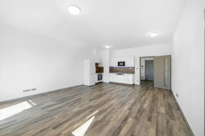 Pronájem bytu 2+kk, Plzeň - Severní Předměstí, Bolevecká, 58 m2