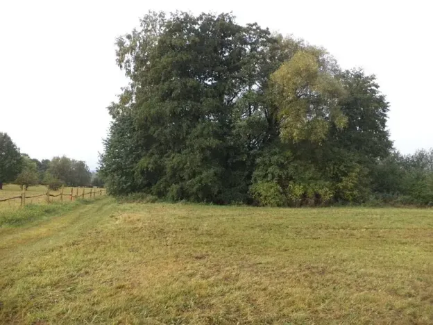 Dražba louky, Horní Pěna, 1083 m2