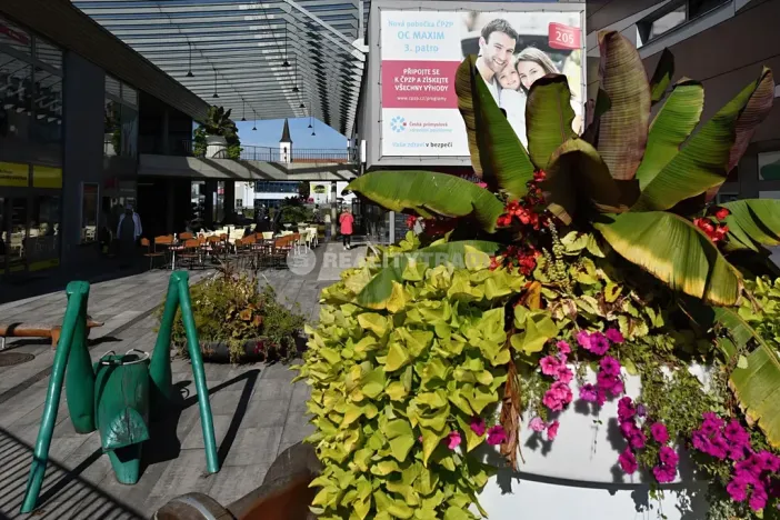 Pronájem obchodního prostoru, Strakonice, Bezděkovská, 111 m2