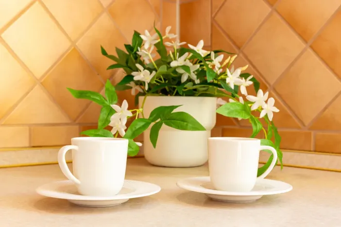 Prodej bytu 2+1, Karviná - Ráj, Školská, 53 m2