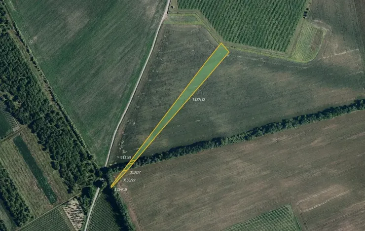 Prodej pole, Nový Poddvorov, 6188 m2