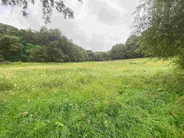 Prodej pozemku, Úterý - Vidžín, 1500 m2