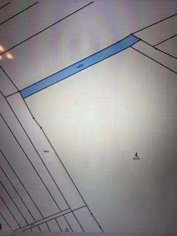 Prodej lesa, Březolupy, 910 m2