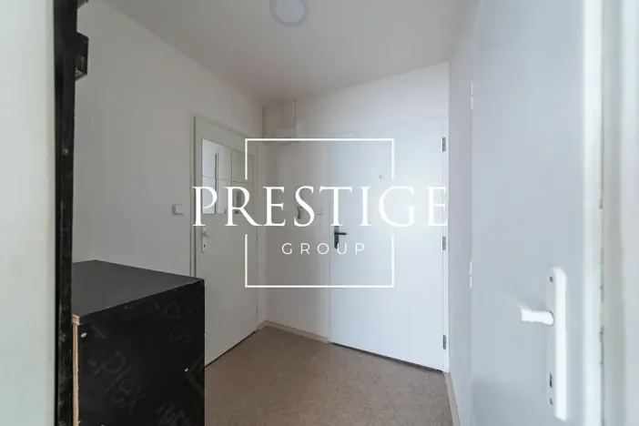 Pronájem bytu 1+kk, Praha - Žižkov, Biskupcova, 31 m2