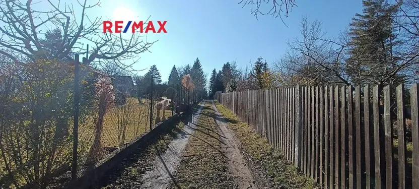 Pronájem zahrady, Plzeň, 857 m2