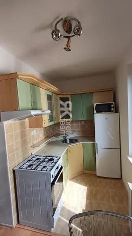 Pronájem bytu 1+1, Ostrava, Lužická, 39 m2