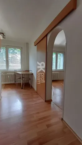 Pronájem bytu 1+1, Ostrava, Lužická, 39 m2