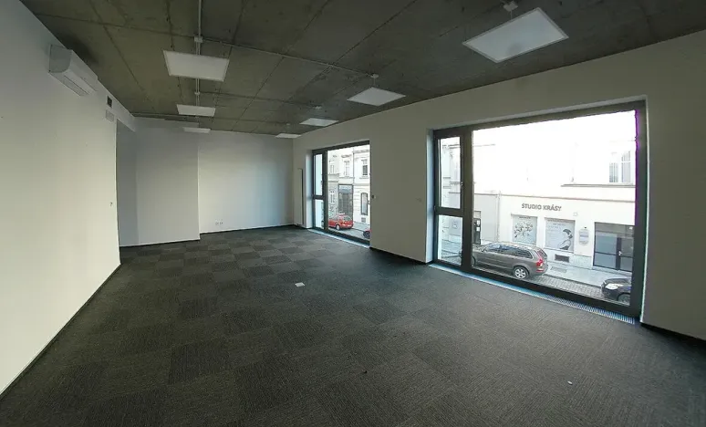 Pronájem kanceláře, Plzeň, Purkyňova, 221 m2
