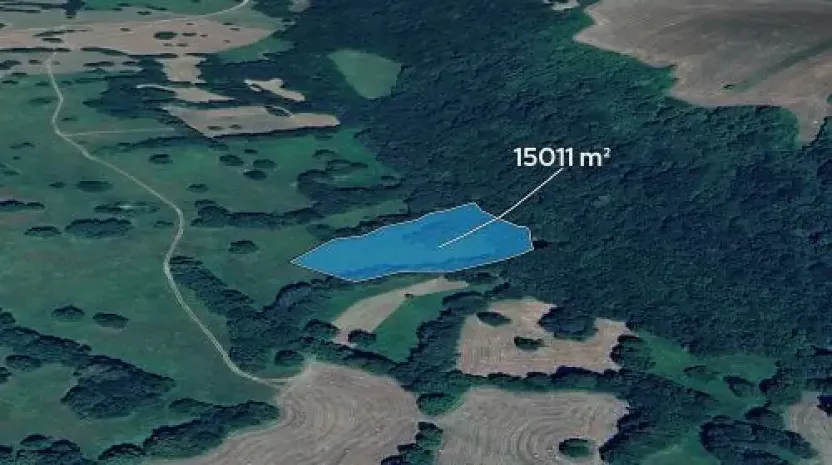 Prodej podílu pole, Javorník, 2814 m2