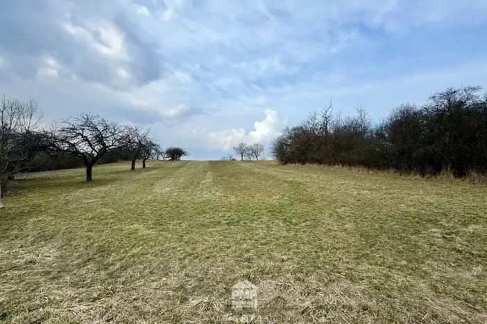 Prodej louky, Cetkovice, 5478 m2