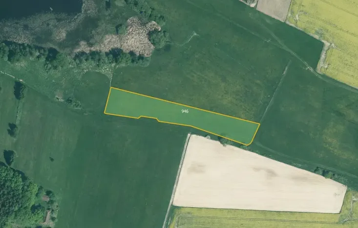 Prodej louky, Bernartice, 7851 m2