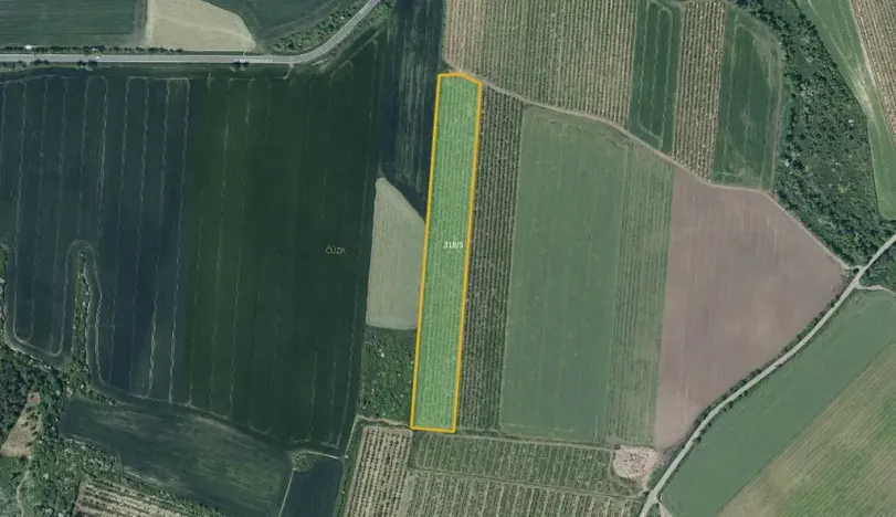 Prodej sadu/vinice, Želkovice, 133318 m2