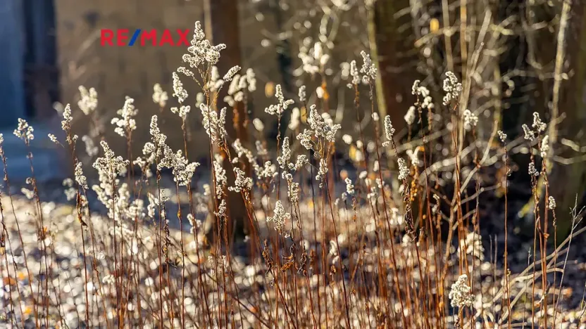 Prodej rodinného domu, Skalice u České Lípy, 122 m2