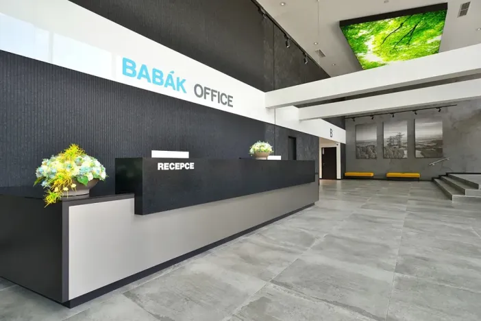 Pronájem kanceláře, Brno, Jana Babáka, 319 m2