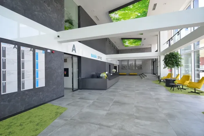 Pronájem kanceláře, Brno, Jana Babáka, 227 m2