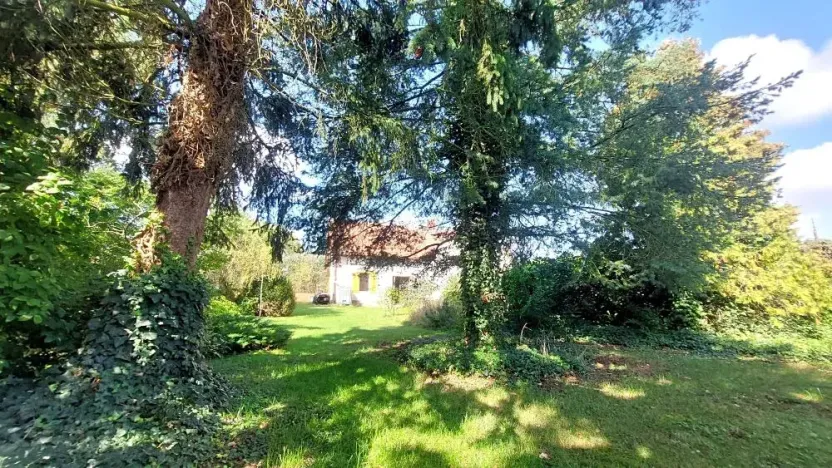 Prodej pozemku, Rybníky, 6544 m2