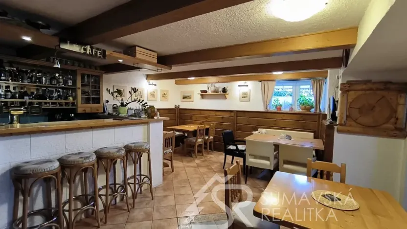 Prodej ubytování, Zdíkov - Nový Dvůr, 750 m2