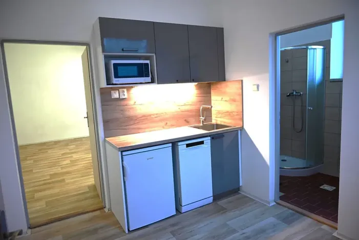 Pronájem výrobních prostor, Bílovice nad Svitavou, Obřanská, 249 m2