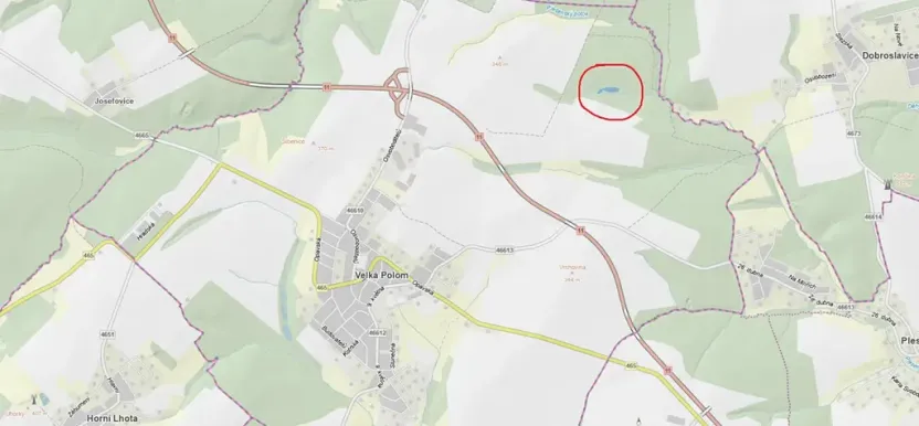 Prodej lesa, Velká Polom, 3342 m2