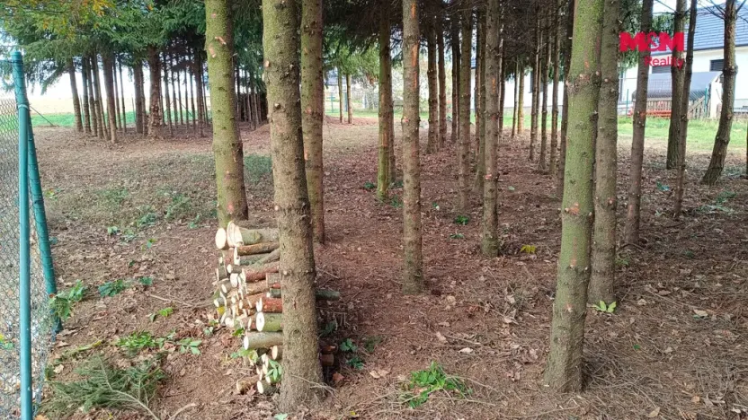 Prodej pozemku pro bydlení, Senožaty, 653 m2