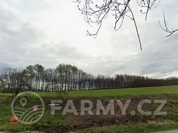 Prodej pole, Věžky, 63026 m2