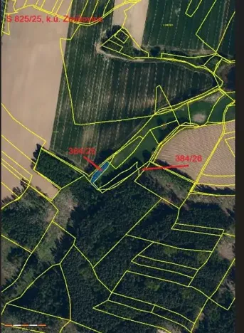 Prodej lesa, Červená Řečice, 1181 m2