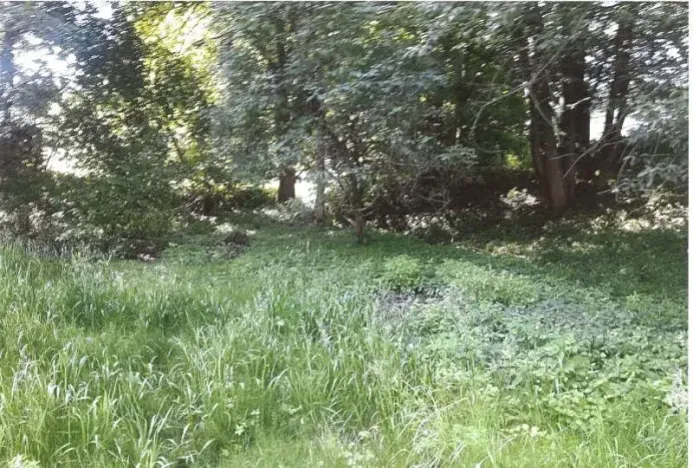 Prodej lesa, Vendryně, 3059 m2