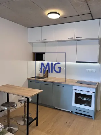 Pronájem bytu 1+kk, Brno, Bratislavská, 31 m2