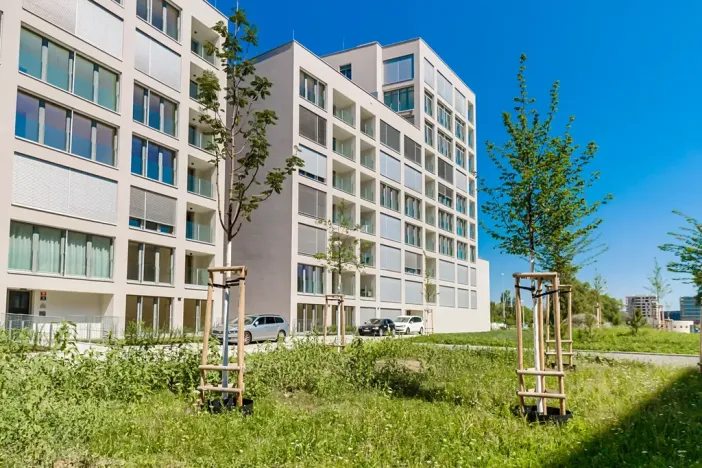 Pronájem bytu 2+kk, Praha - Karlín, Breitfeldova, 60 m2