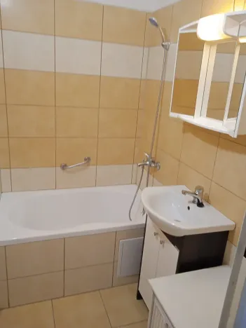 Pronájem bytu 1+kk, Havířov, Letní, 30 m2