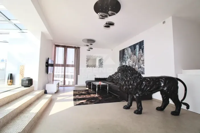 Pronájem bytu 3+kk, Plzeň, Goldscheiderova, 250 m2