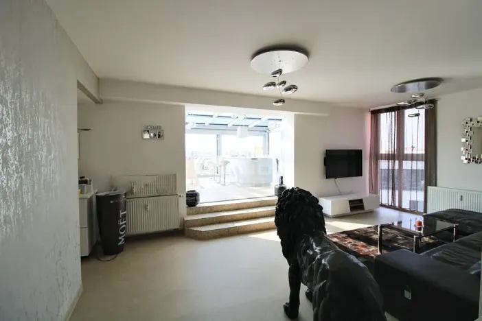 Pronájem bytu 3+kk, Plzeň, Goldscheiderova, 250 m2