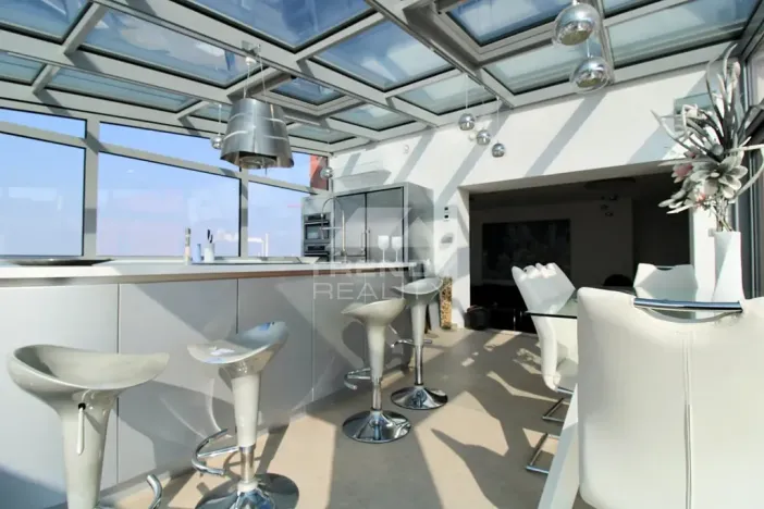 Pronájem bytu 3+kk, Plzeň, Goldscheiderova, 250 m2